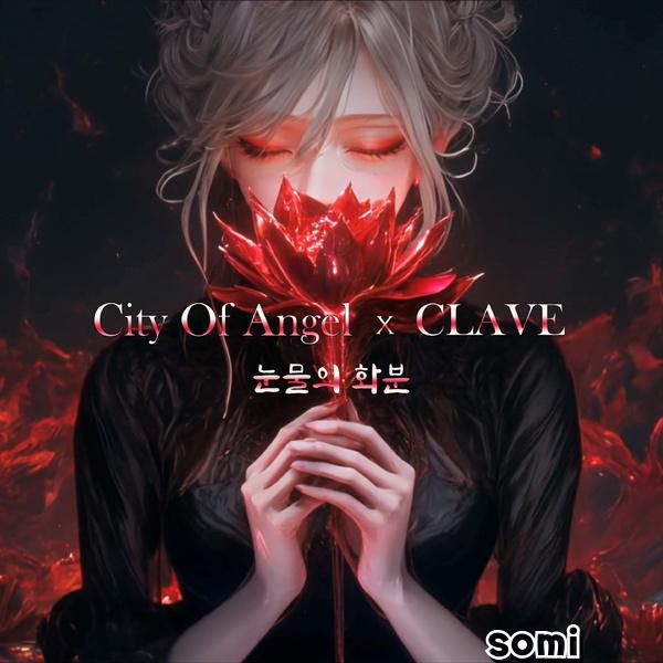 Image Cover